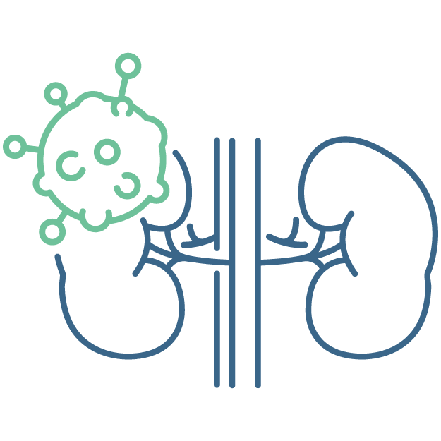 Kidney Cancer Icon